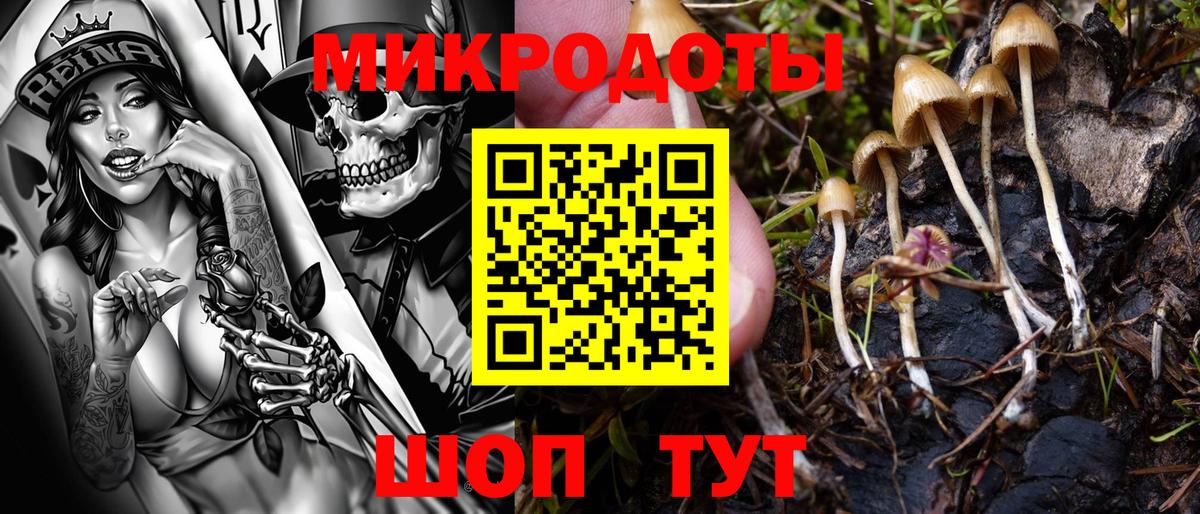 Галлюциногенные грибы мицелий Химки