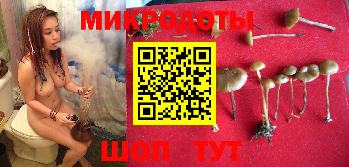 Химки  Галлюциногенные грибы Cubensis  Вход с VPN 